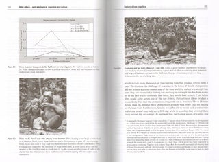 Wild cultures: a comparison between chimpanzee and human cultures.