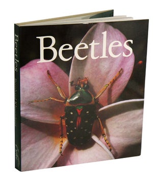 Beetles. Bernhard Klausnitzer.