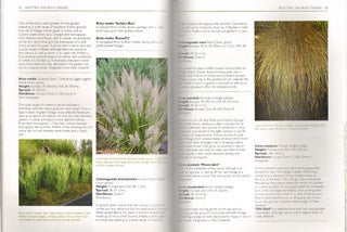 Ornamental grasses: an essential guide.