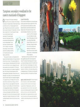 Wild Singapore.