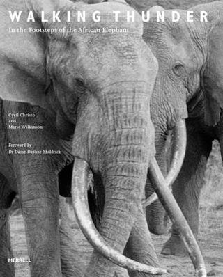 Stock ID 34988 Walking thunder: in the footsteps of the African elephant. Cyril Christo