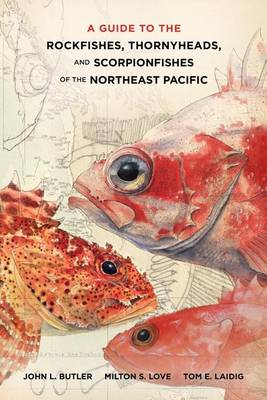 Stock ID 34992 Guide to the rockfishes, thornyheads, and scorpionfishes of the northeast Pacific....
