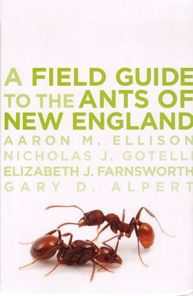 Stock ID 35002 Field guide to the ants of New England. Aaron M. Ellison
