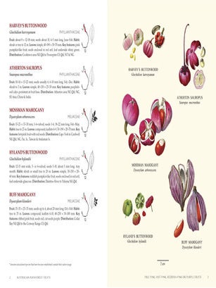 Australian rainforest fruits: a field guide.