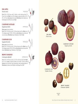 Australian rainforest fruits: a field guide.