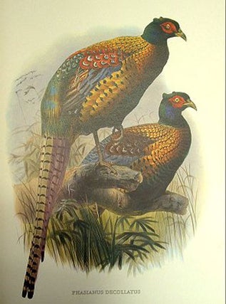 The birds of Daniel Giraud Elliot: a selection of pheasants and peacocks painted by Joseph Wolf and taken from the original monograph published in New York 1872.