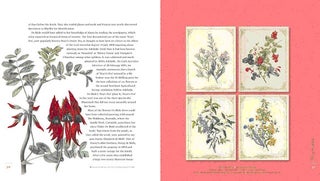 Collecting ladies: Ferdinand von Mueller and women botanical artists.