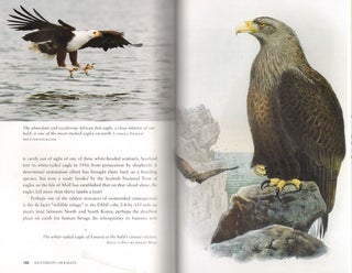 An eternity of eagles: the human history of the most fascinating bird in the world.