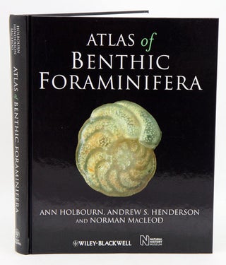 Stock ID 35139 Atlas of benthic Foraminifera. Ann Holbourn