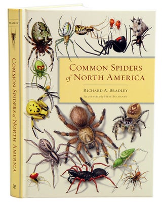 Stock ID 35141 Common spiders of North America. Richard A. Bradley, Steve Buchanan