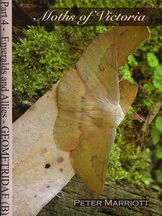 Stock ID 35170 Moths of Victoria: part four, Emeralds and allies, Geometridae (B). Peter Marriott