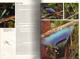 The Birds of Papua New Guinea, including the Bismarck Archipelago and Bougainville.