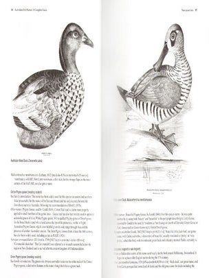 Australian bird names: a complete guide.