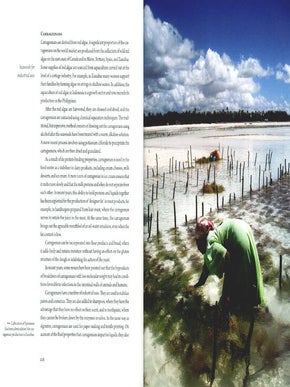 Seaweeds: edible, available and sustainable.