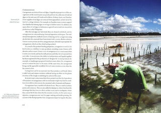 Seaweeds: edible, available and sustainable.