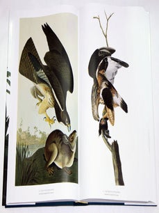 Audubon's birds of America.