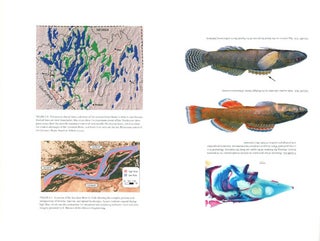Ecology of North American freshwater fishes.