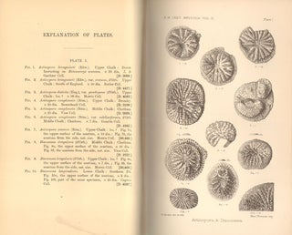 Catalogue of the fossil Bryozoa in the Department of Geology, volume two: the cretaceous Bryozoa.