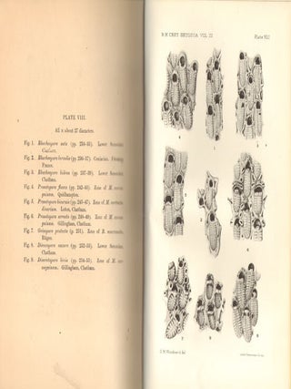 Catalogue of the fossil Bryozoa in the Department of Geology, volume two: the cretaceous Bryozoa (Polyzoa).