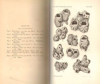Catalogue of the fossil Bryozoa in the Department of Geology, volume four: the cretaceous Bryozoa (Polyzoa). The Cribrimorphs- part two.
