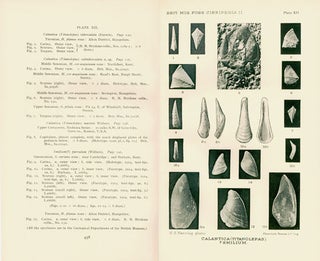Catalogue of the fossil Cirripedia in the Department of Geology.