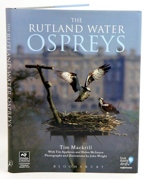 Stock ID 35503 The Rutland water Ospreys. Tim Mackrill.