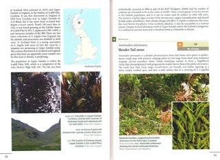 England's rare mosses and liverworts: their history, ecology, and conservation.