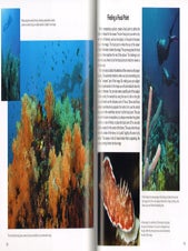 Underwater photography: a guide to capturing the mysteries of the deep.