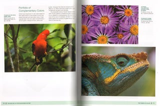 New art of photographing nature: an updated guide to composing stunning images of animals, nature and landscapes.