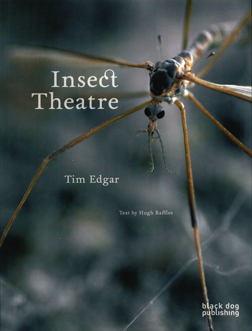 Stock ID 35793 Insect theatre. Tim Edgar, Hugh Raffles.