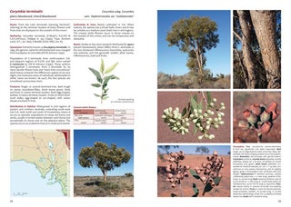 Native Eucalypts of South Australia.