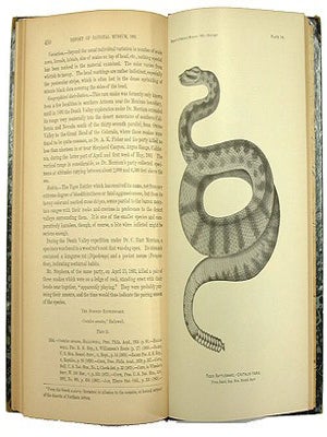 The poisonous snakes of North America.