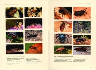 Australian longhorn beetles (Coleoptera: Cerambycidae) volume one: introduction and subfamily Lamiinae.