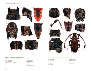 Australian longhorn beetles (Coleoptera: Cerambycidae) volume one: introduction and subfamily Lamiinae.