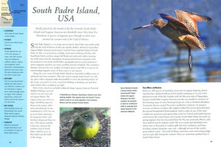 RSPB migration hotspots: the world's best bird migration sites.