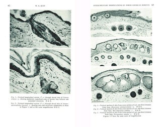 Biology of the skin and hair growth: proceedings of a Symposium held at Canberra, Australia, August 1964.