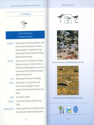 Field guide to shorebirds of South Africa.