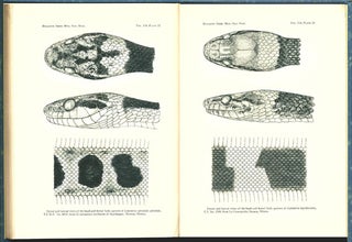 A monographic study of the colubrid snake genus Leptodeira.