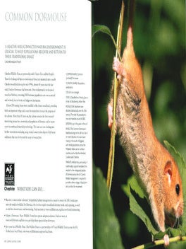 Going, going, gone: 100 animals and plants on the verge of extinction.