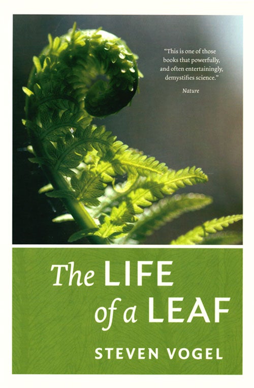 Stock ID 36089 The life of a leaf. Steven Vogel.
