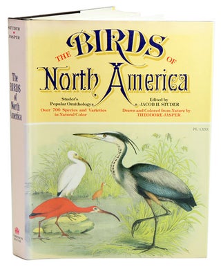 Stock ID 36126 Studer's popular ornithology. The birds of North America. Theodore Jasper