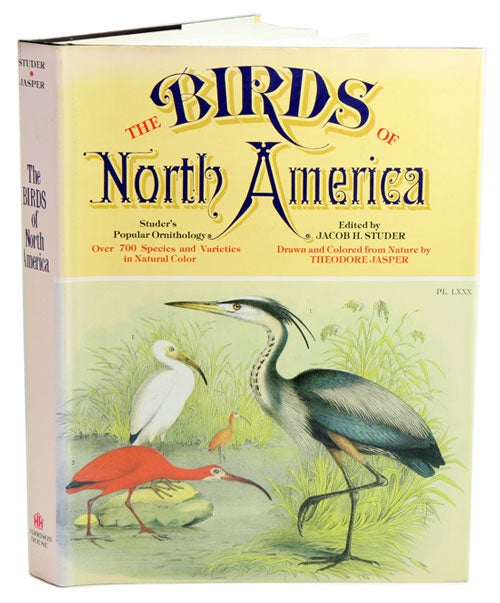 Stock ID 36126 Studer's popular ornithology. The birds of North America. Theodore Jasper.