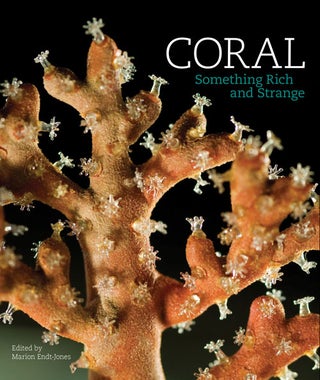 Stock ID 36255 Coral: something rich and strange. Marion Endt-Jones