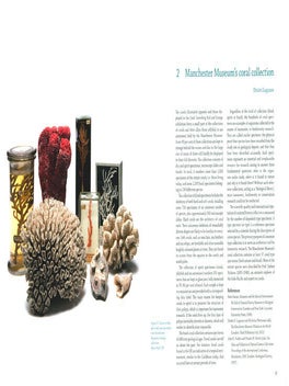 Coral: something rich and strange.