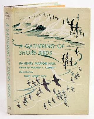 Stock ID 36404 A gathering of shore birds. Henry Marion Hall