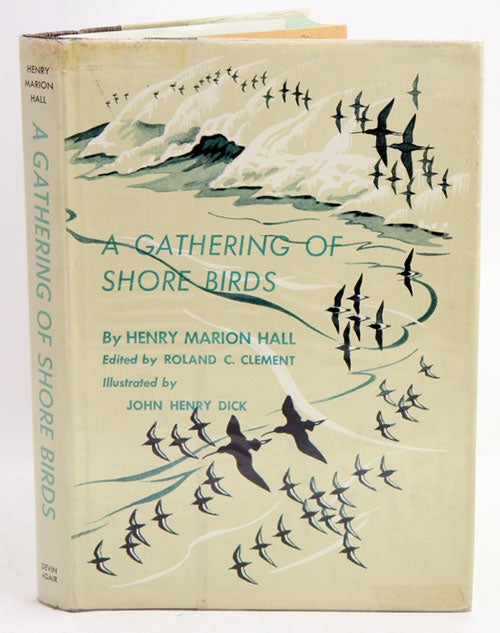 Stock ID 36404 A gathering of shore birds. Henry Marion Hall.