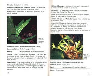 A guide to the threatened plants of Singapore.