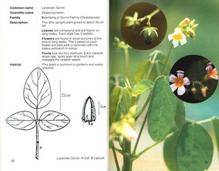 A guide to the wildflowers of Singapore.