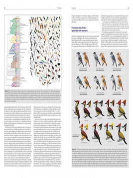 HBW and BirdLife International illustrated checklist of the birds of the world, volume one: non-passerines.