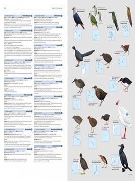 HBW and BirdLife International illustrated checklist of the birds of the world, volume one: non-passerines.